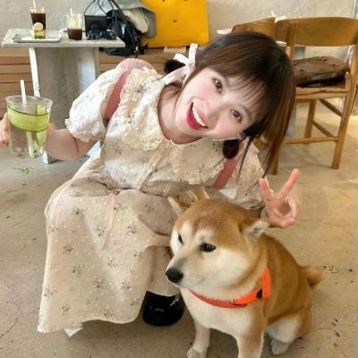 来春之约 海报