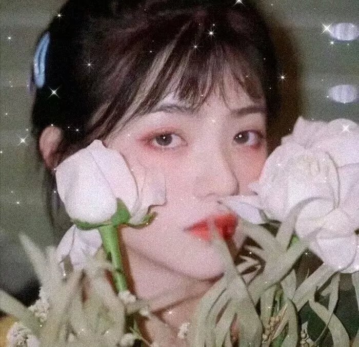 路德维希 海报